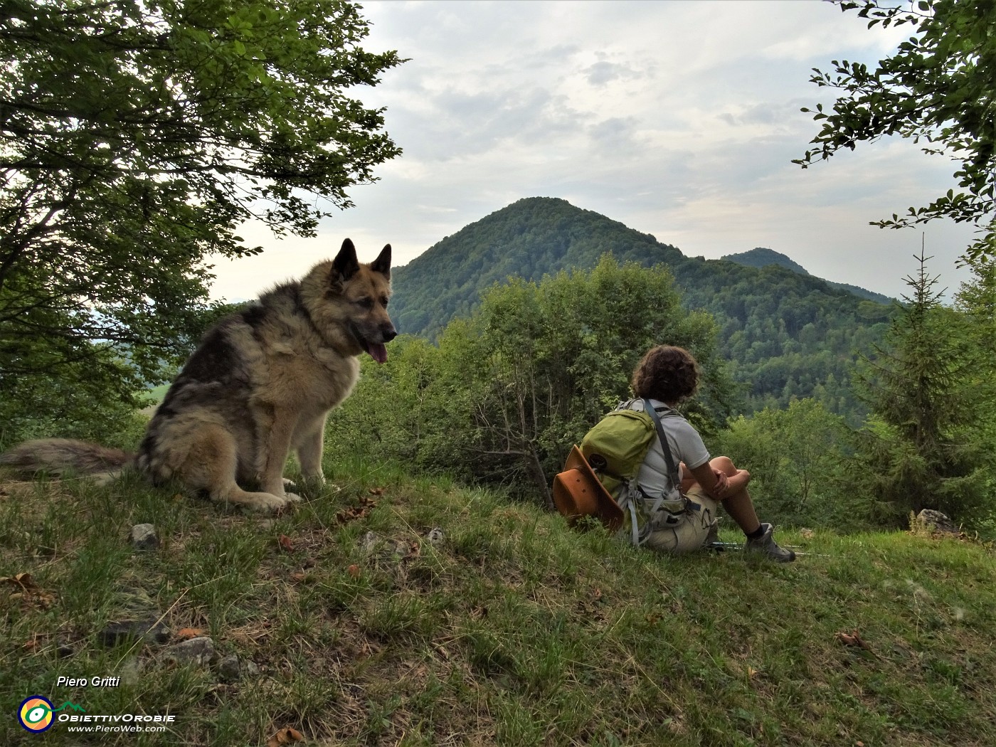 25 Dal roccolo Cugini vista sul versante nord del Monte Poieto.JPG